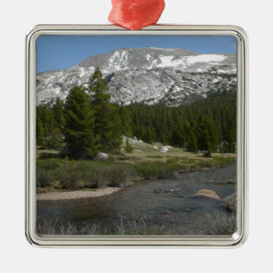 High Country Mountain Stream II in Yosemite Silbernes Ornament