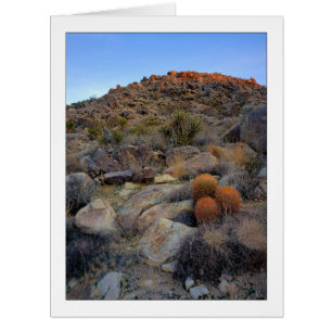 "High Desert Garden"