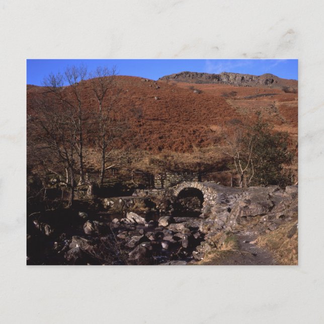 High Sweden Bridge Rydal Lake District England Postkarte (Vorderseite)