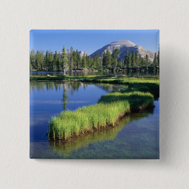 HIGH UINTAS WILDERNESS, UT, US, Halbinsel, Button (Vorderseite)