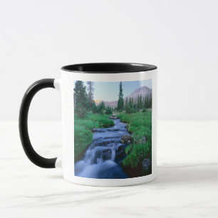 HIGH UINTAS WILDERNESS, UTAH. Stillwater Fork Tasse