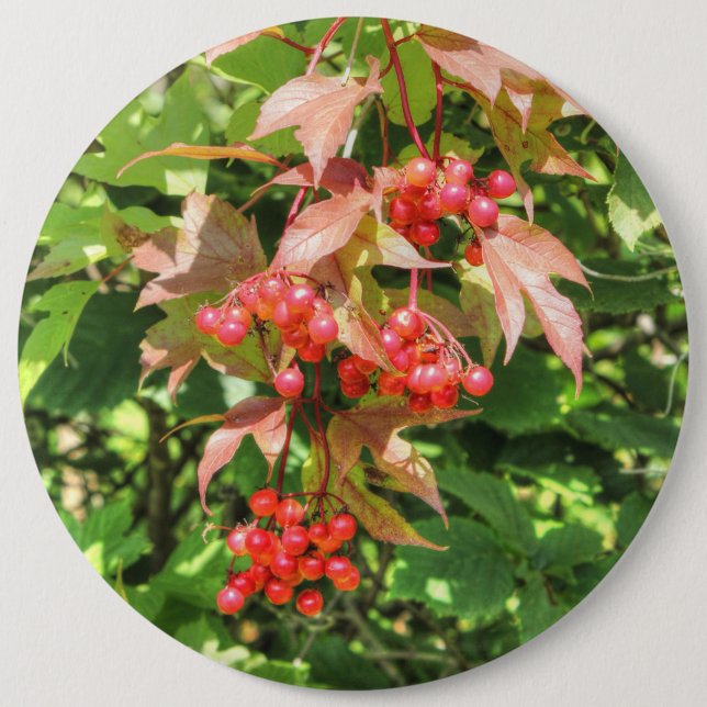 Highbush Cranberries Button (Vorderseite)