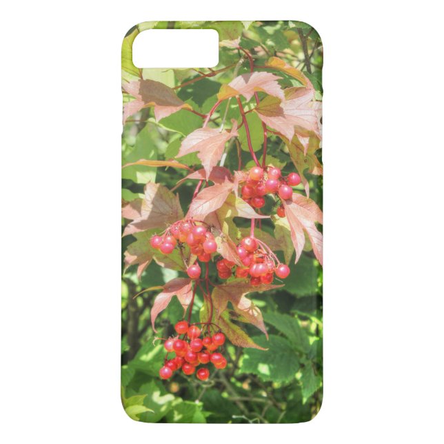Highbush Cranberries Case-Mate iPhone Hülle (Rückseite)