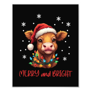 Highland Baby Cow Christmas Lights Fotodruck