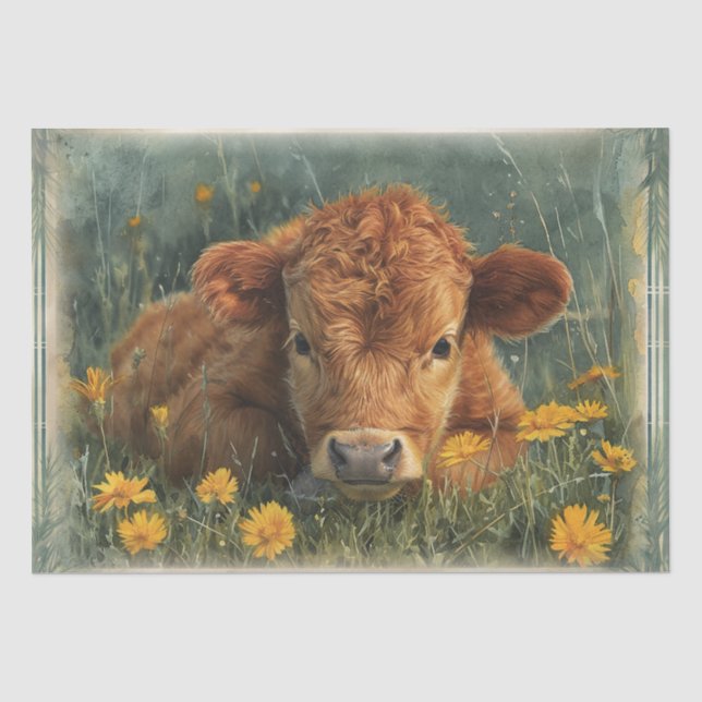 Highland Baby Cow Seidenpapier (Vorderseite)