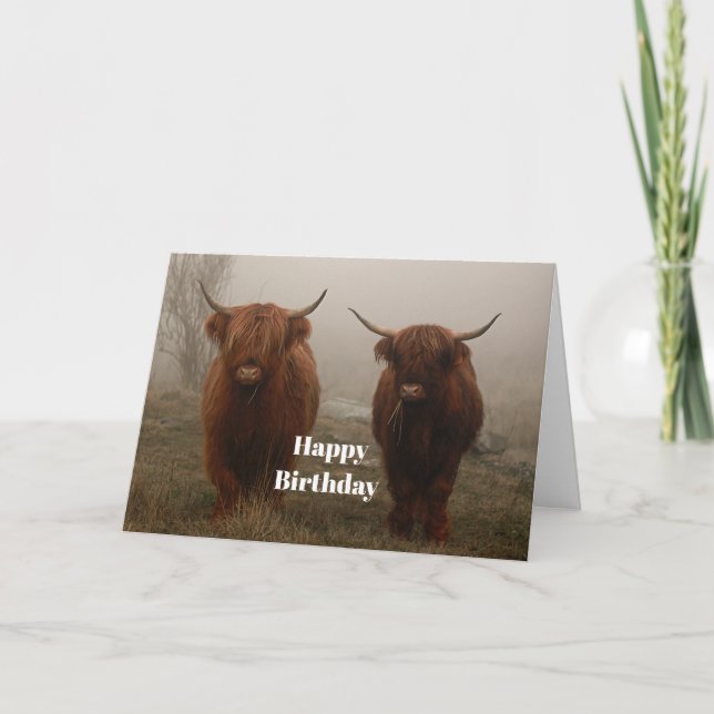Highland Cattle Fog Foto Birthday Karte (Vorderseite)