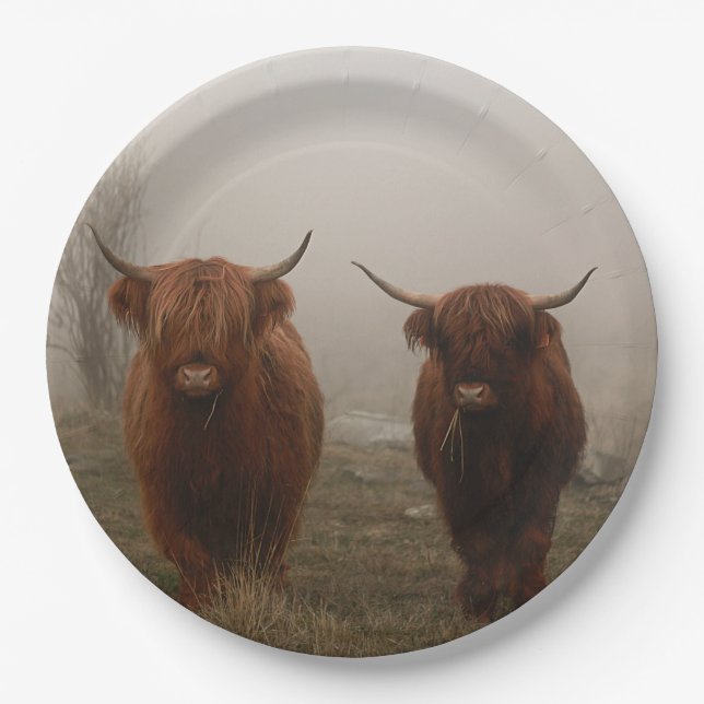 Highland Cattle Fog Foto Pappteller (Vorderseite)