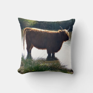 Highland Cattle Kissen