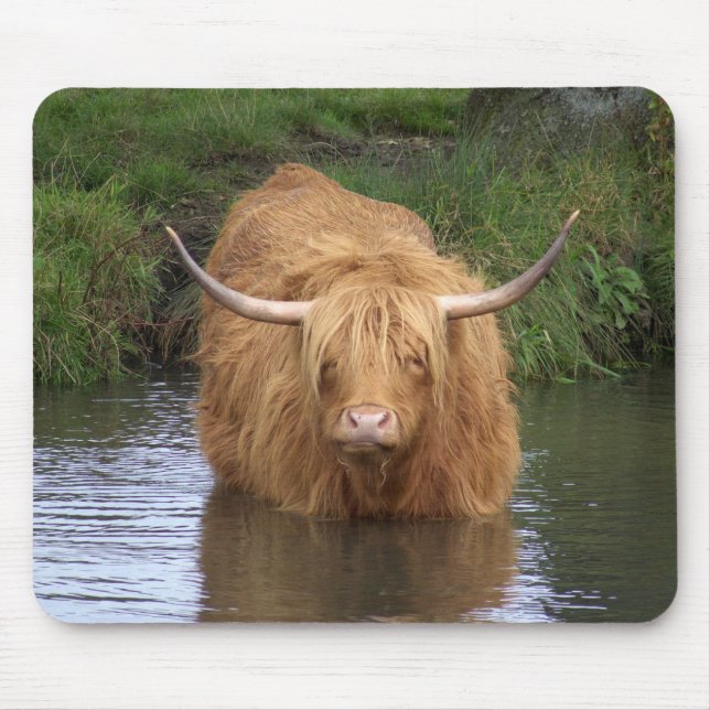 Highland Cattle Mousepad (Vorne)