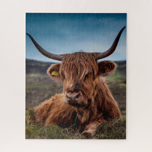 Highland Cow (Vertikal)