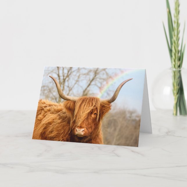 Highland Cow Birthday Card Karte (Vorderseite)