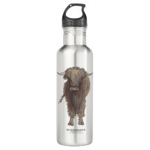Highland cow Bò Ghàidhealach in schottisch-Gälisch