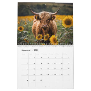 Highland Cow Calendar Kalender