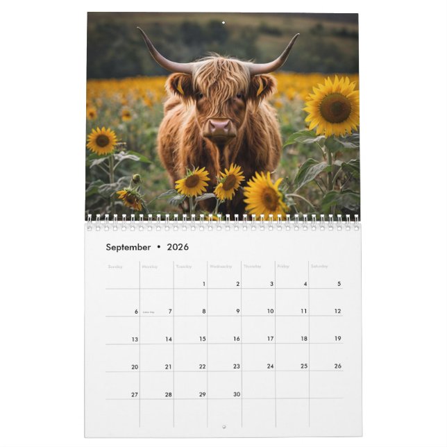 Highland Cow Calendar Kalender (Sep 2026)