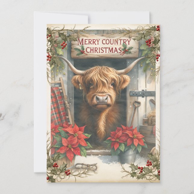 Highland Cow Christmas Feiertagskarte (Vorderseite)