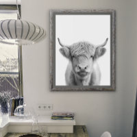 Highland Cow Head Portrait  Black white   