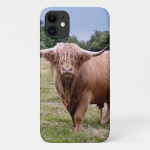 Highland Cow iPhone 11 Hülle