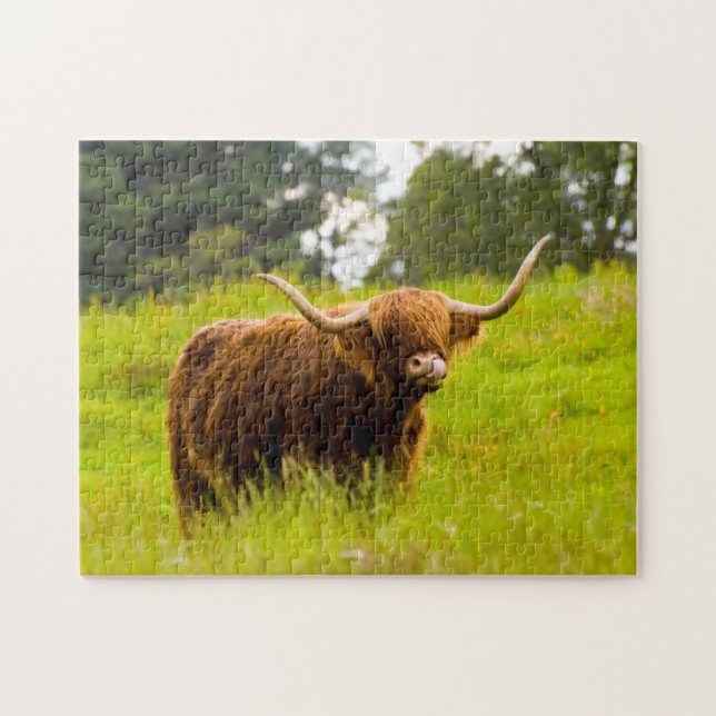 Highland Cow Jigsaw Puzzle (Horizontal)