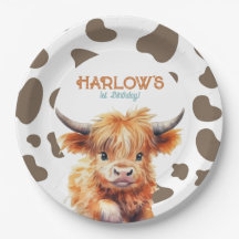 Highland Cow meine erste Rodeo-Geburtstagspartei