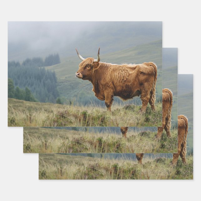 Highland Cow Misty Morning Decoupage Geschenkpapier Set (Set)