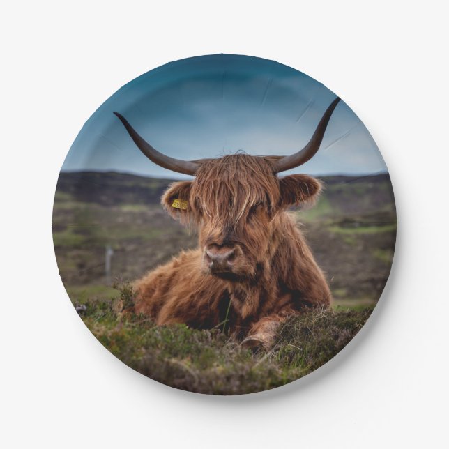 Highland Cow Pappteller (Vorderseite)