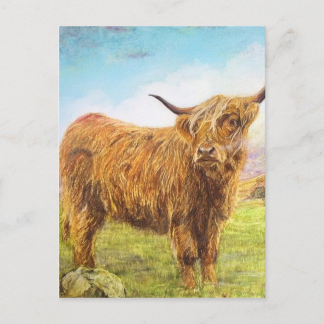 Highland Cow Postkarte (Vorderseite)