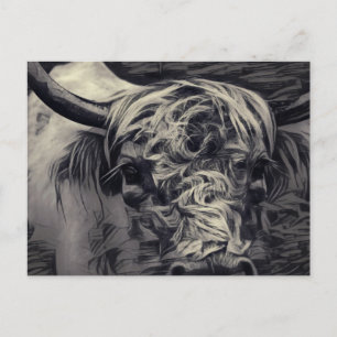 Highland Cow Postkarte