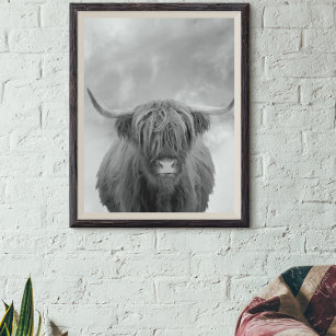 Highland Cow Scotland Nuages Black White Poster