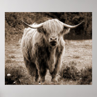 Highland Cow Scotland Rustic Brown Monoton