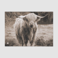 Highland Cow Scotland Rustic Brown Monoton