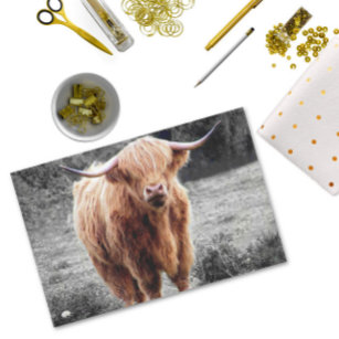 Highland Cow Scotland Rustic Seidenpapier
