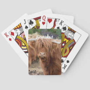 Highland Cow Spielkarten
