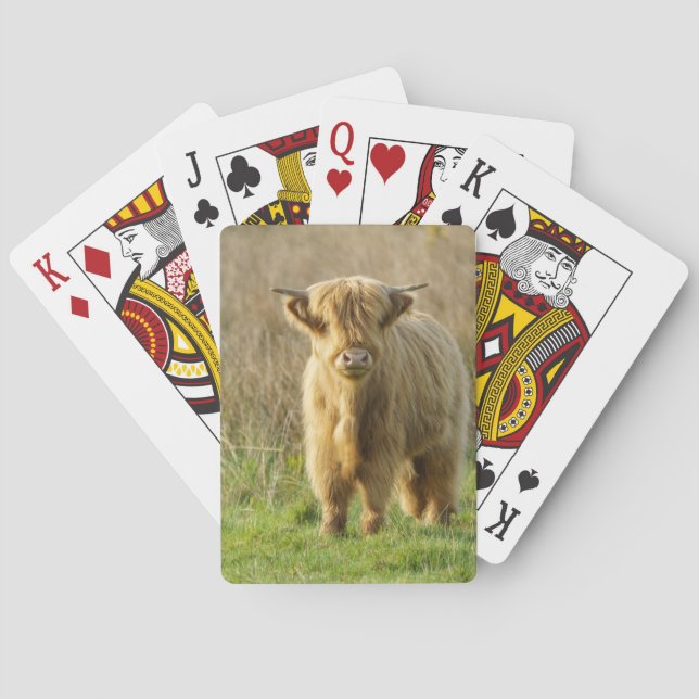 Highland Cow Spielkarten (Rückseite)