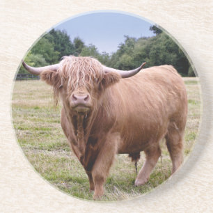 Highland Cow Untersetzer