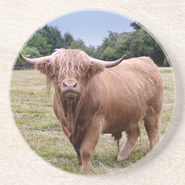 Highland Cow Untersetzer (Vorne)