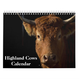 Highland Cows 2026 Calendar Kalender