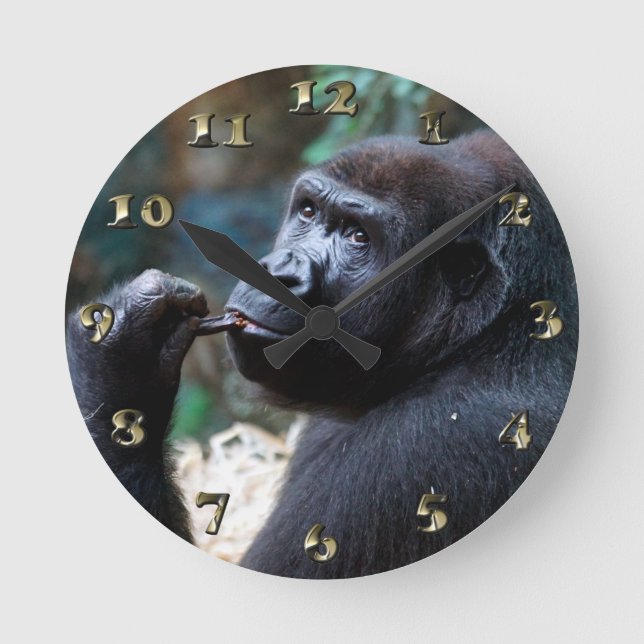 Highland Gorilla - Picking Teeth Runde Wanduhr (Vorderseite)