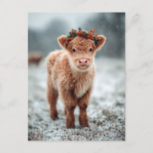 Highland-Kalb im Schnee mit festlichem Kranz Postkarte