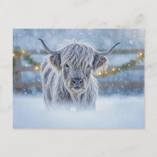 Highland-Kalb im Schnee Weihnachtsurlaub Postkarte