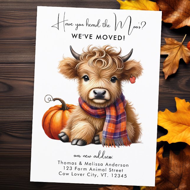 Highland Kuh neue Adresse wir bewegt Herbst bewege Ankündigung (Von Creator hochgeladen)
