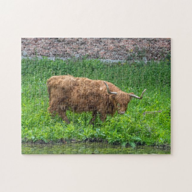 Highland-Kuh-Puzzle (Horizontal)
