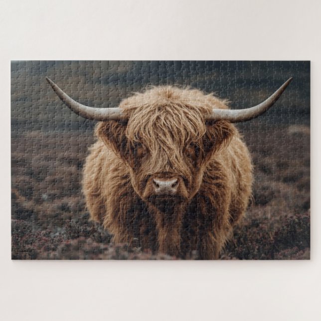 Highland-Kuh-Puzzle (Horizontal)