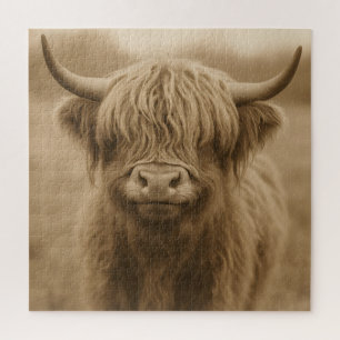 Highland-Kuh-Sepia-Porträt