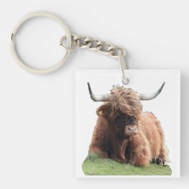 Highland "Moo Cow" Schlüsselanhänger