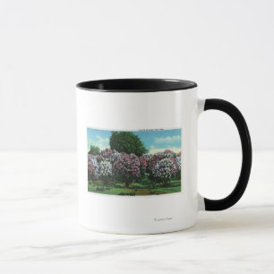 Highland Park Lilacs in Bloom Tasse