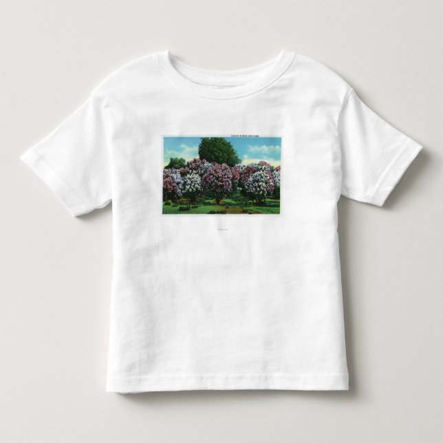 Highland- Parkfliedern in der Blüte Kleinkind T-shirt (Vorderseite)