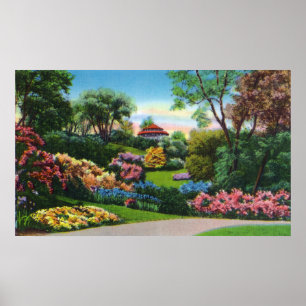 Highland- Parkrhododendren in der Blüte Poster