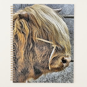 HIGHLAND PLANER