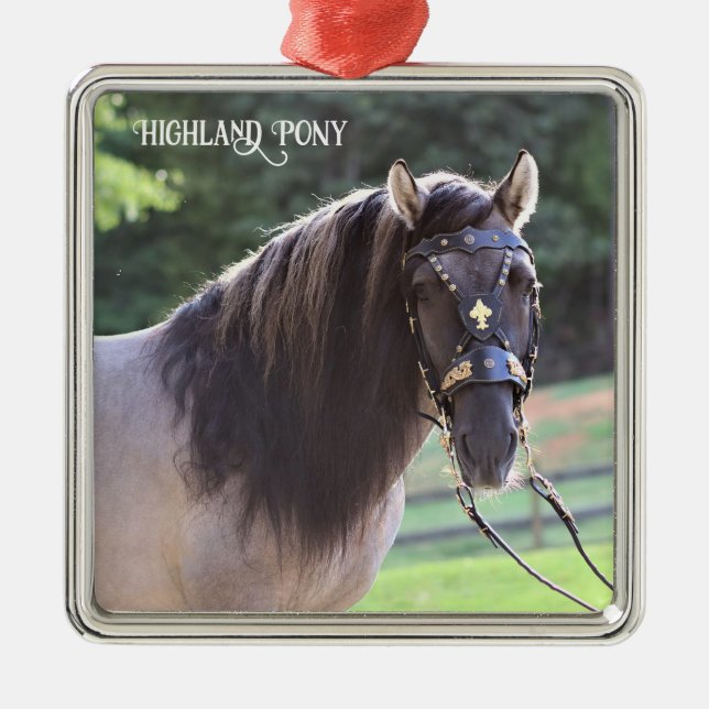 Highland Pony Ornament Aus Metall (Vorne)