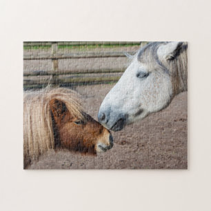 Highland-Pony- und Shetlandpony-Puzzle